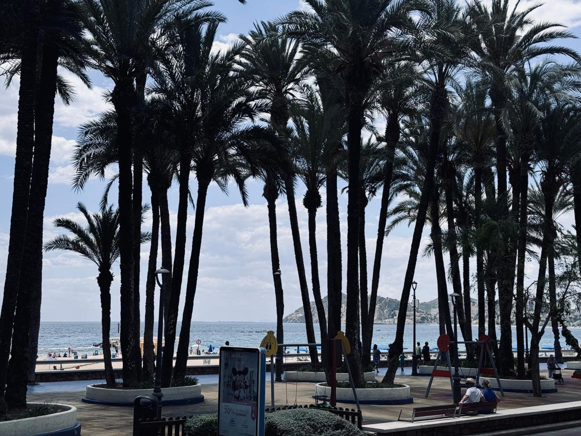 Secretos Del Mediterraneo Con Parking Privado Gratuito Benidorm